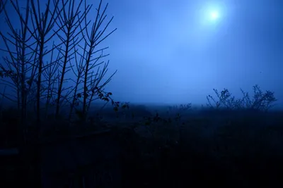 DSC_1049 (Large).JPG